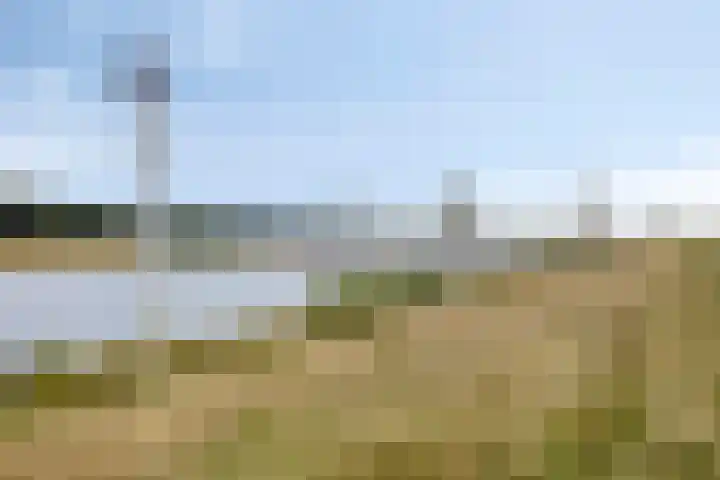 Korte Molenstraat 7 Driel thumbnail 66