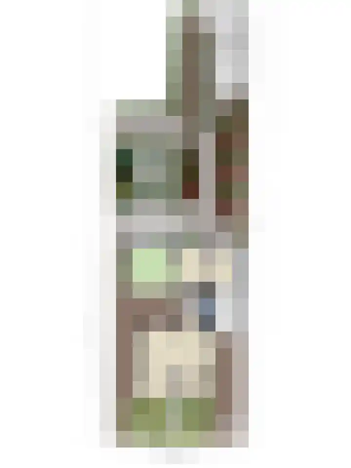 Korte Molenstraat 7 Driel thumbnail 68