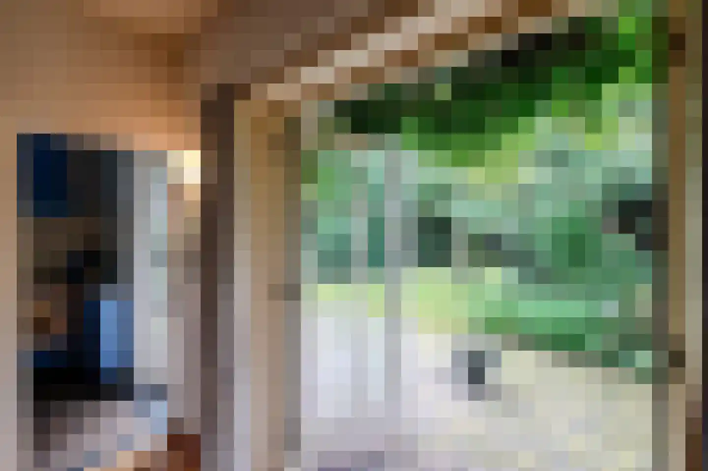 Korte Molenweg 8 Blaricum thumbnail 10