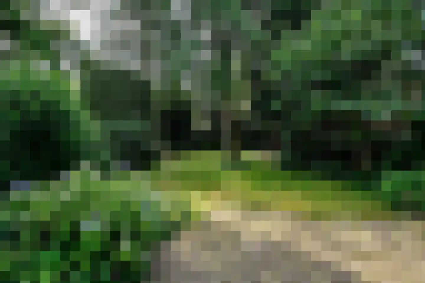 Korte Molenweg 8 Blaricum thumbnail 11
