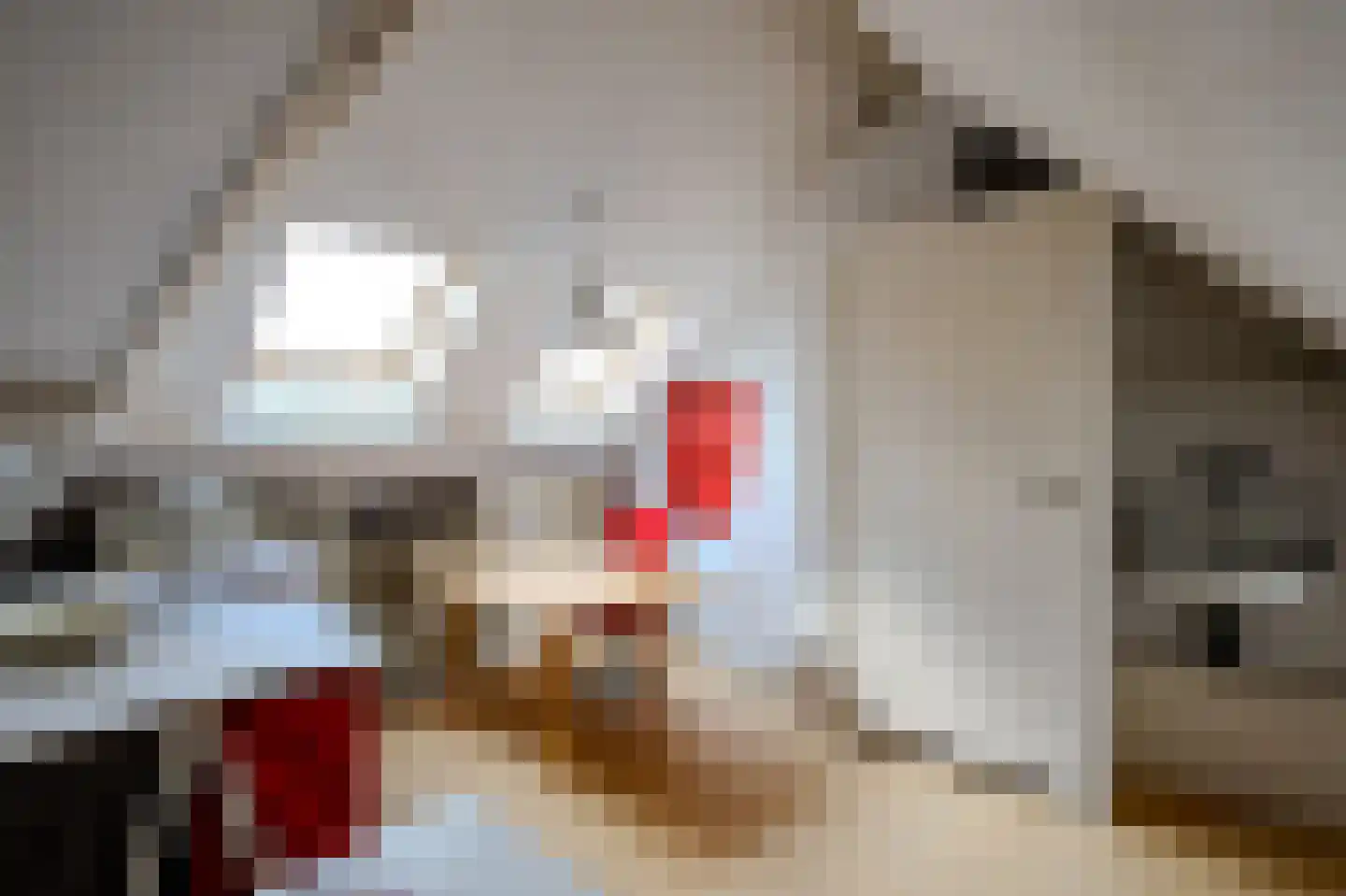 Korte Molenweg 8 Blaricum thumbnail 22