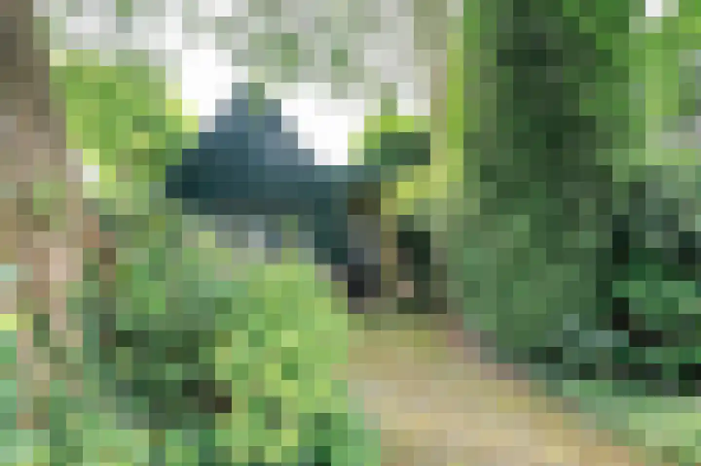 Korte Molenweg 8 Blaricum thumbnail 24