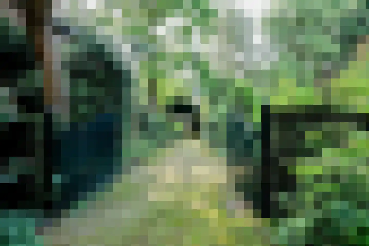 Korte Molenweg 8 Blaricum thumbnail 4