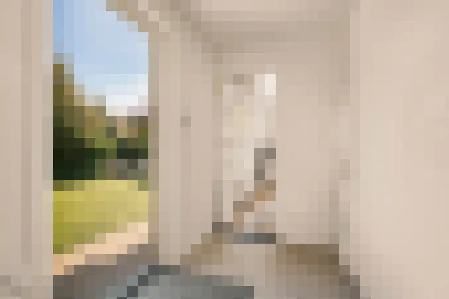 Korte Muiderweg 10 Weesp thumbnail 22