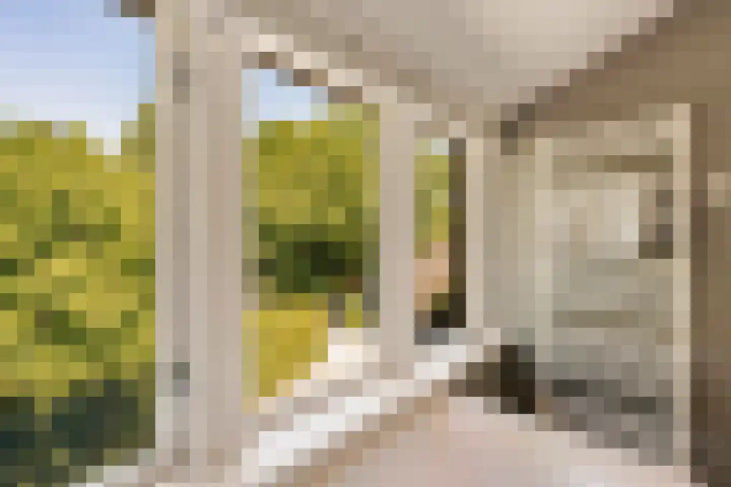 Korte Muiderweg 10 Weesp thumbnail 42