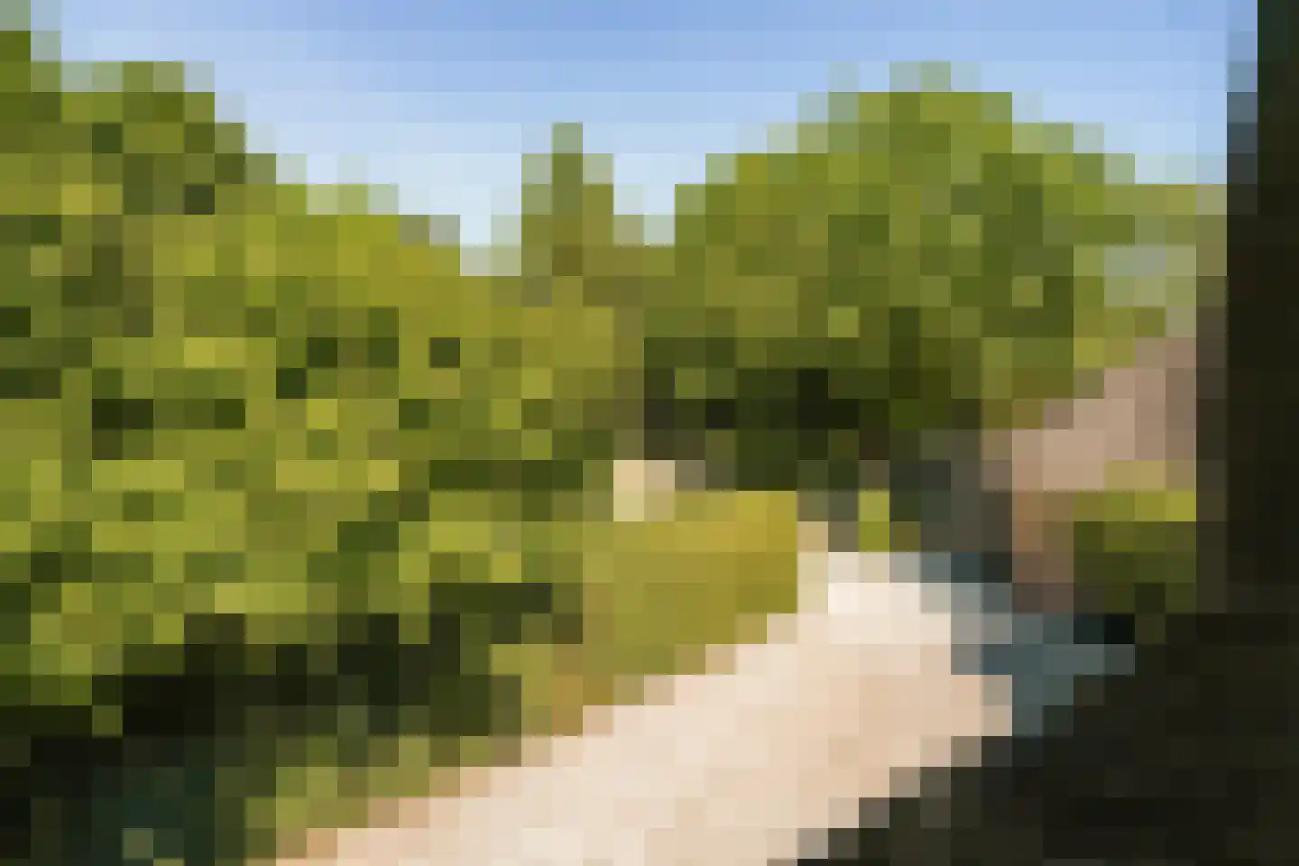 Korte Muiderweg 10 Weesp thumbnail 43