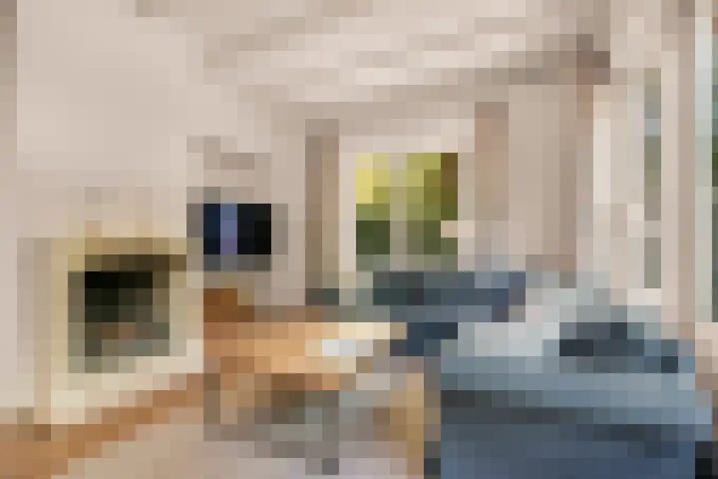 Korte Muiderweg 10 Weesp thumbnail 6