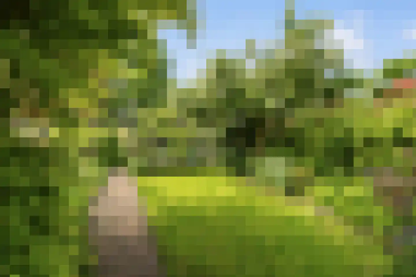 Korte Muiderweg 27 Weesp thumbnail 19