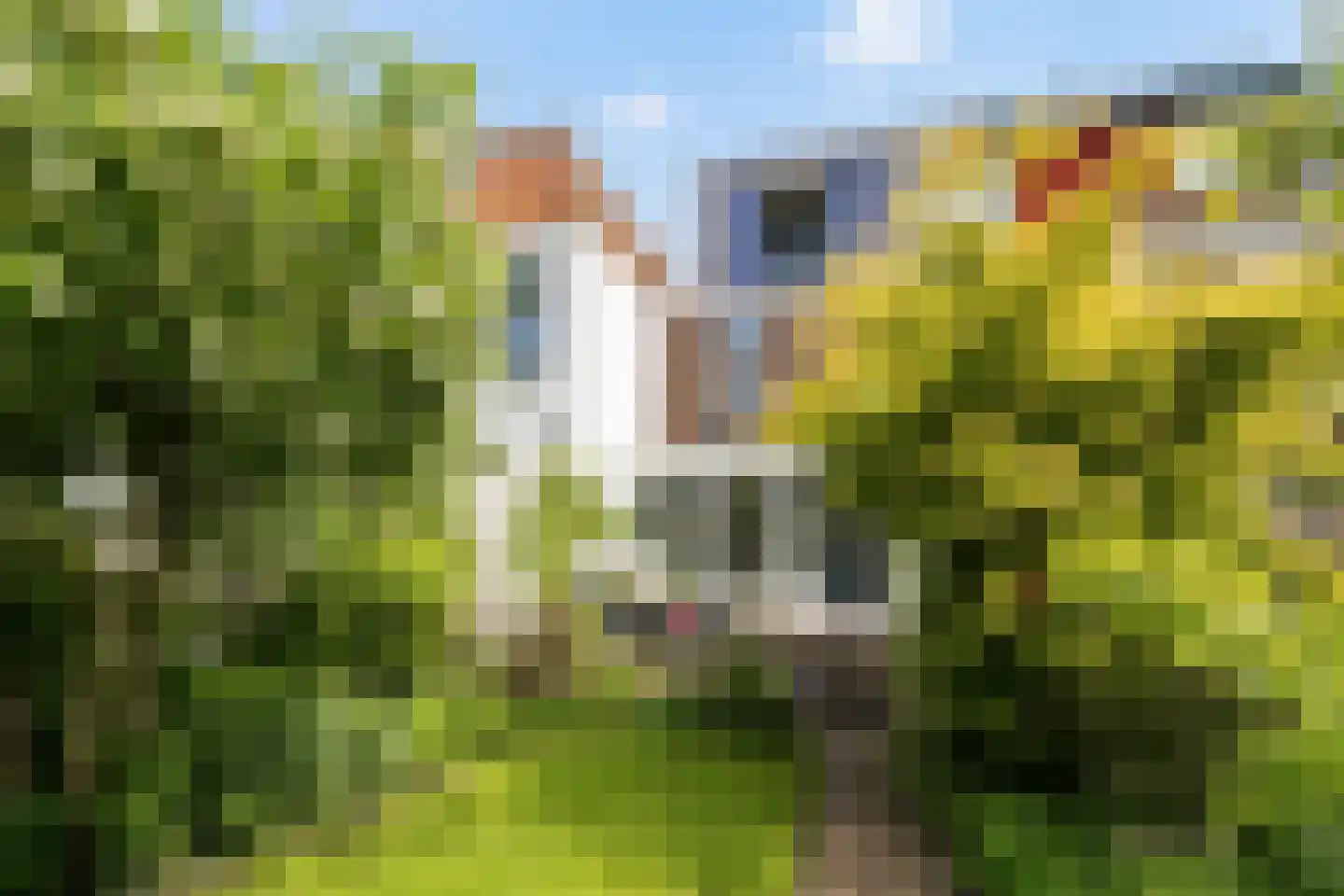 Korte Muiderweg 27 Weesp thumbnail 21