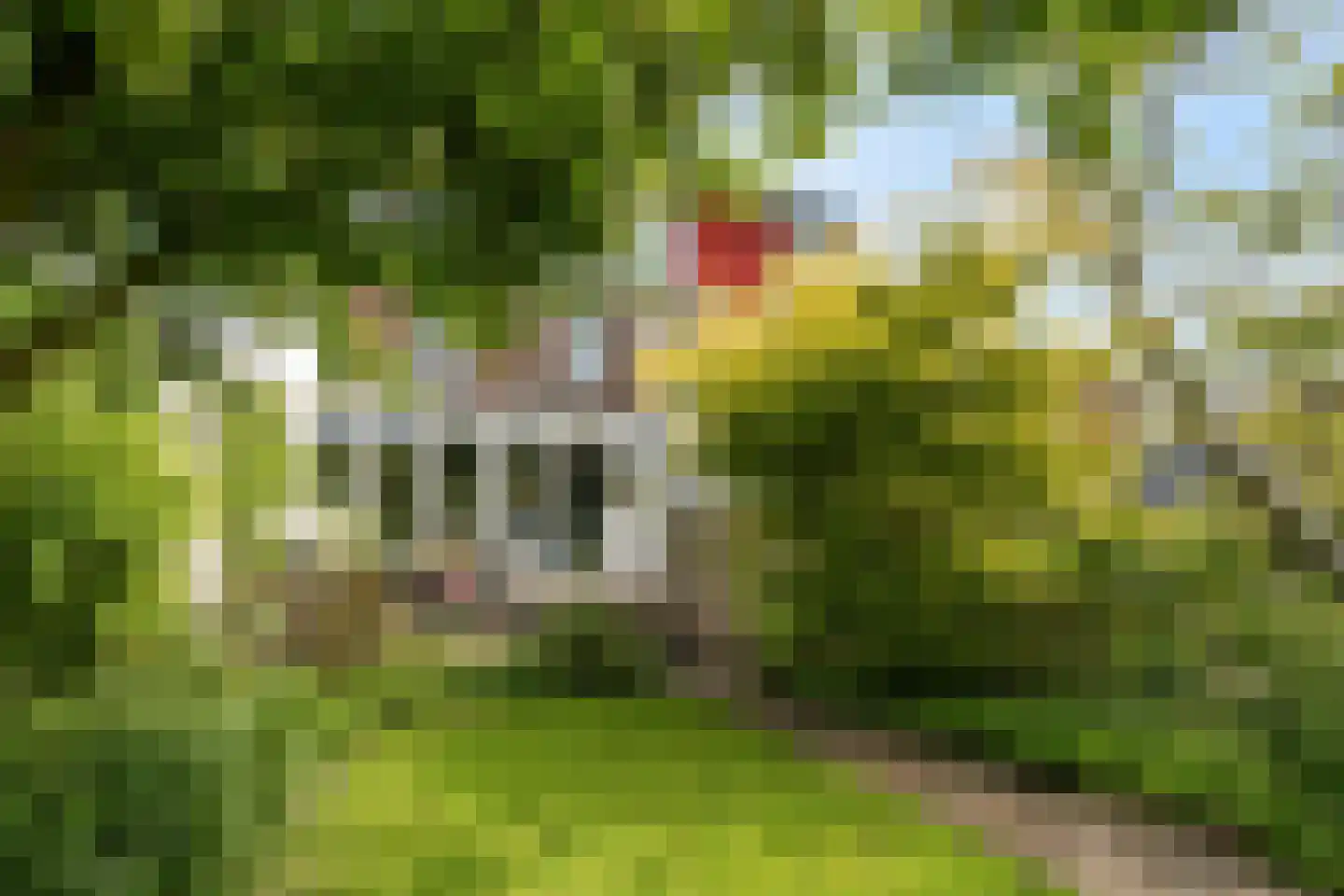 Korte Muiderweg 27 Weesp thumbnail 22