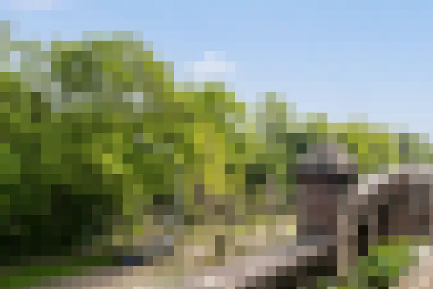 Korte Muiderweg 27 Weesp thumbnail 48
