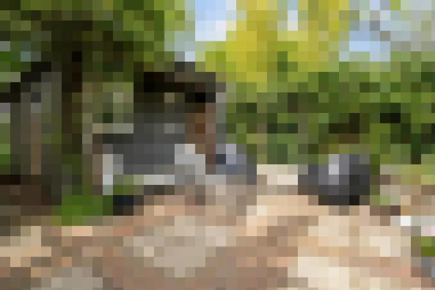 Korte Muiderweg 27 Weesp thumbnail 49