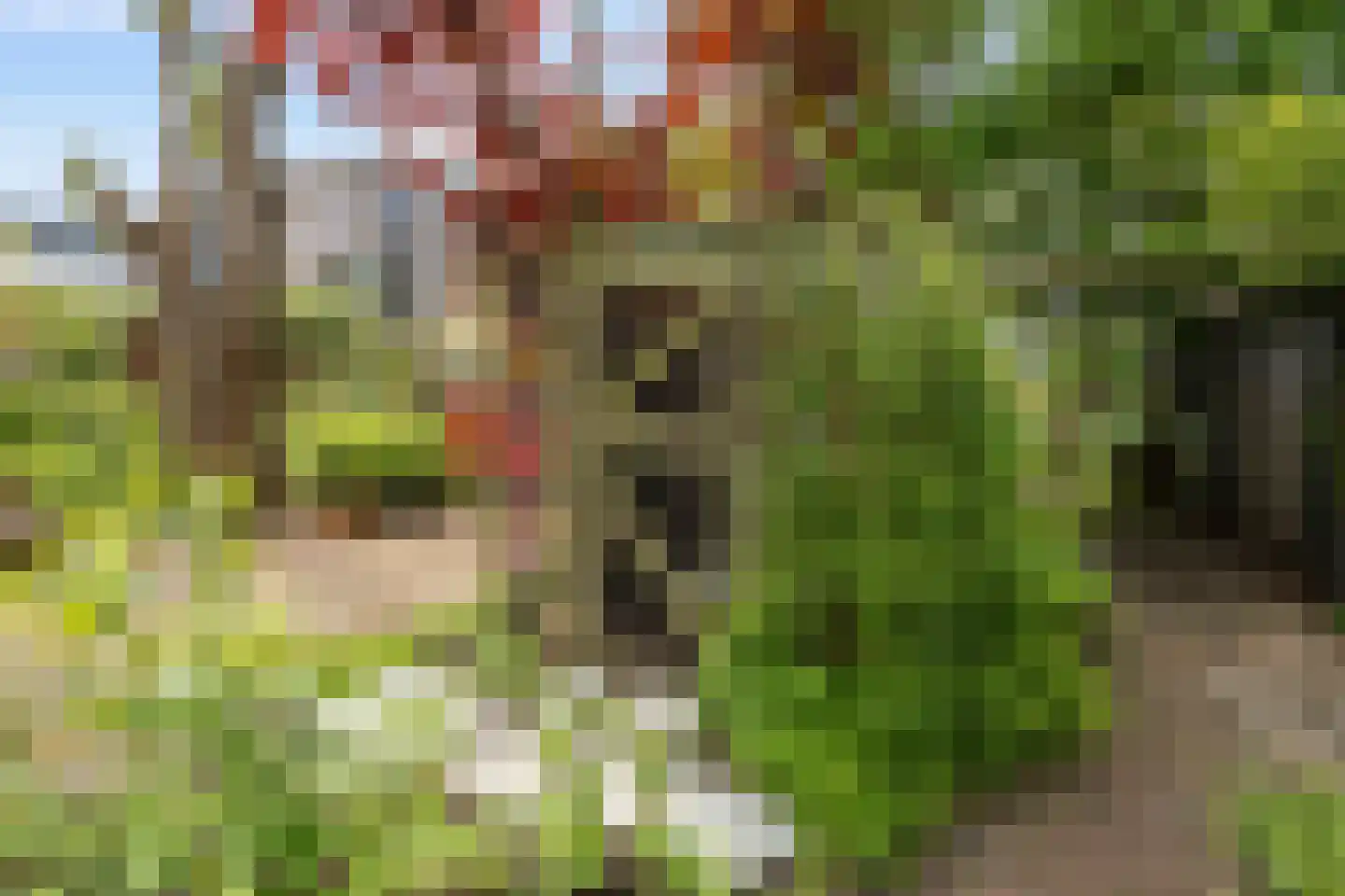 Korte Muiderweg 27 Weesp thumbnail 53