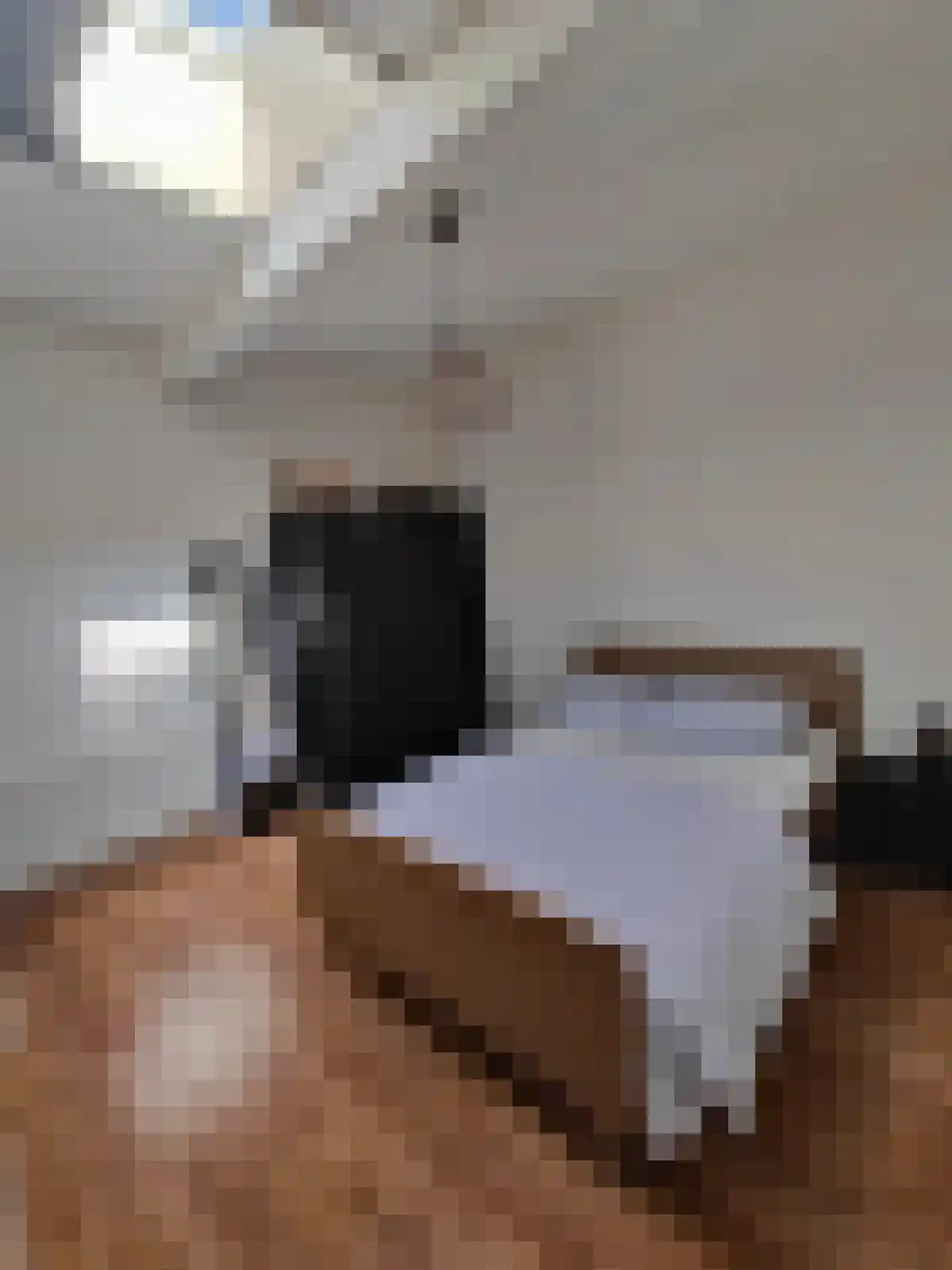 Korte Nieuwsteeg 8 Tiel thumbnail 5