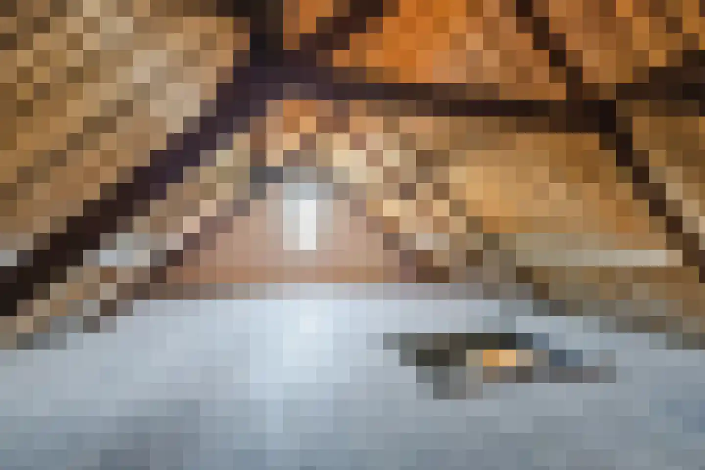 Korte Nieuwstraat 1 Bodegraven thumbnail 11