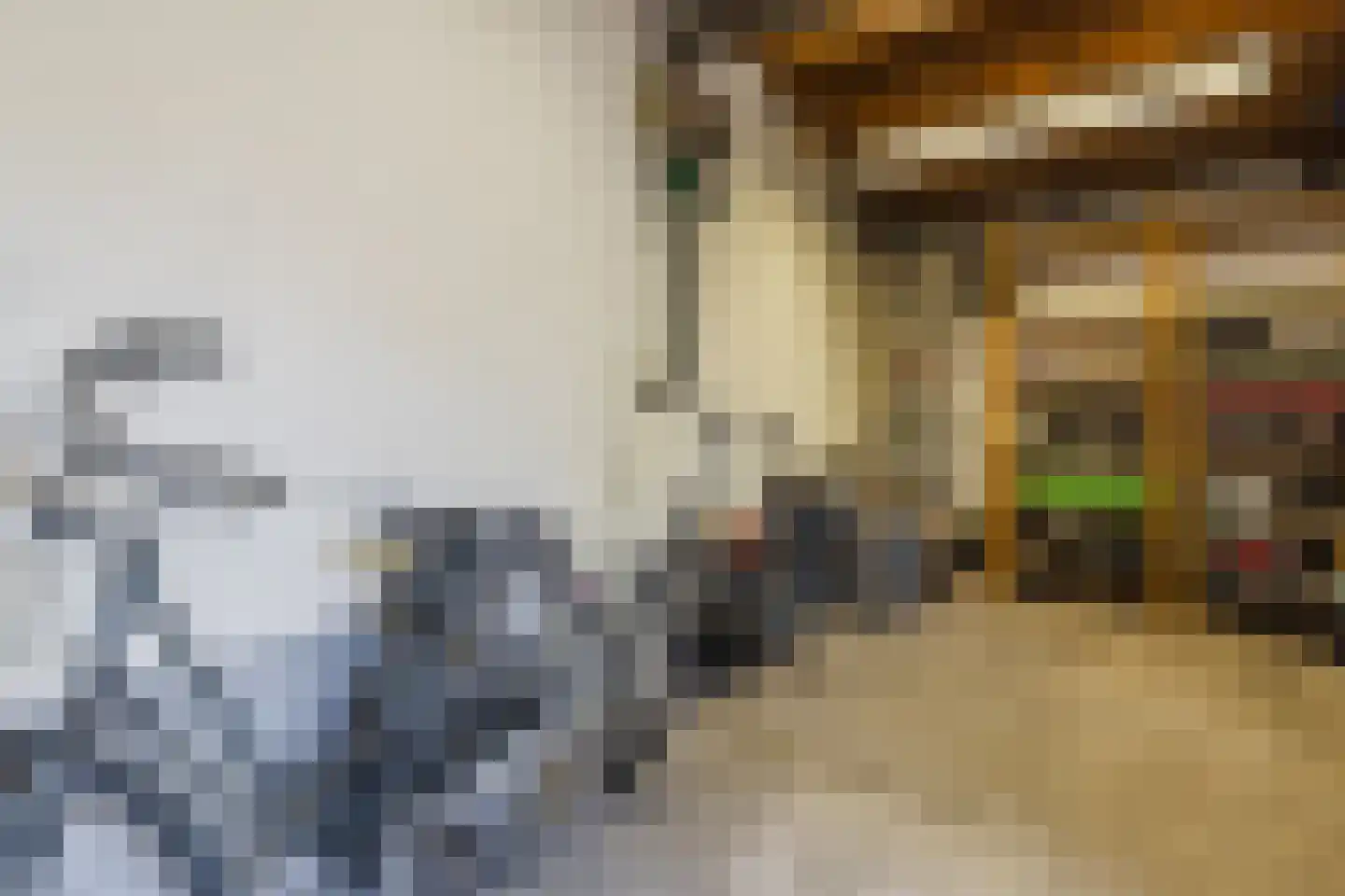 Korte Nieuwstraat 1 Bodegraven thumbnail 15