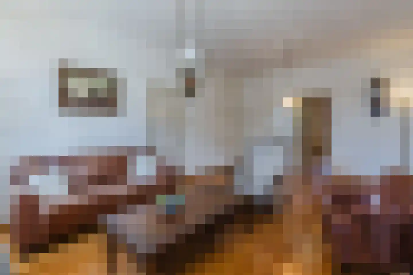 Korte Nieuwstraat 1 Bodegraven thumbnail 17