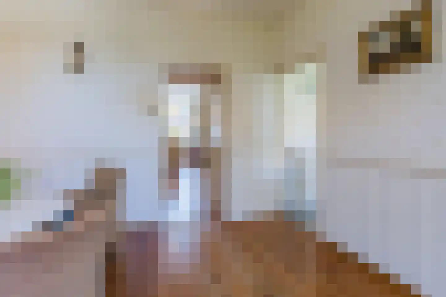 Korte Nieuwstraat 1 Bodegraven thumbnail 21