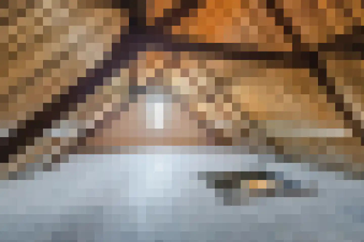 Korte Nieuwstraat 1 Bodegraven thumbnail 46