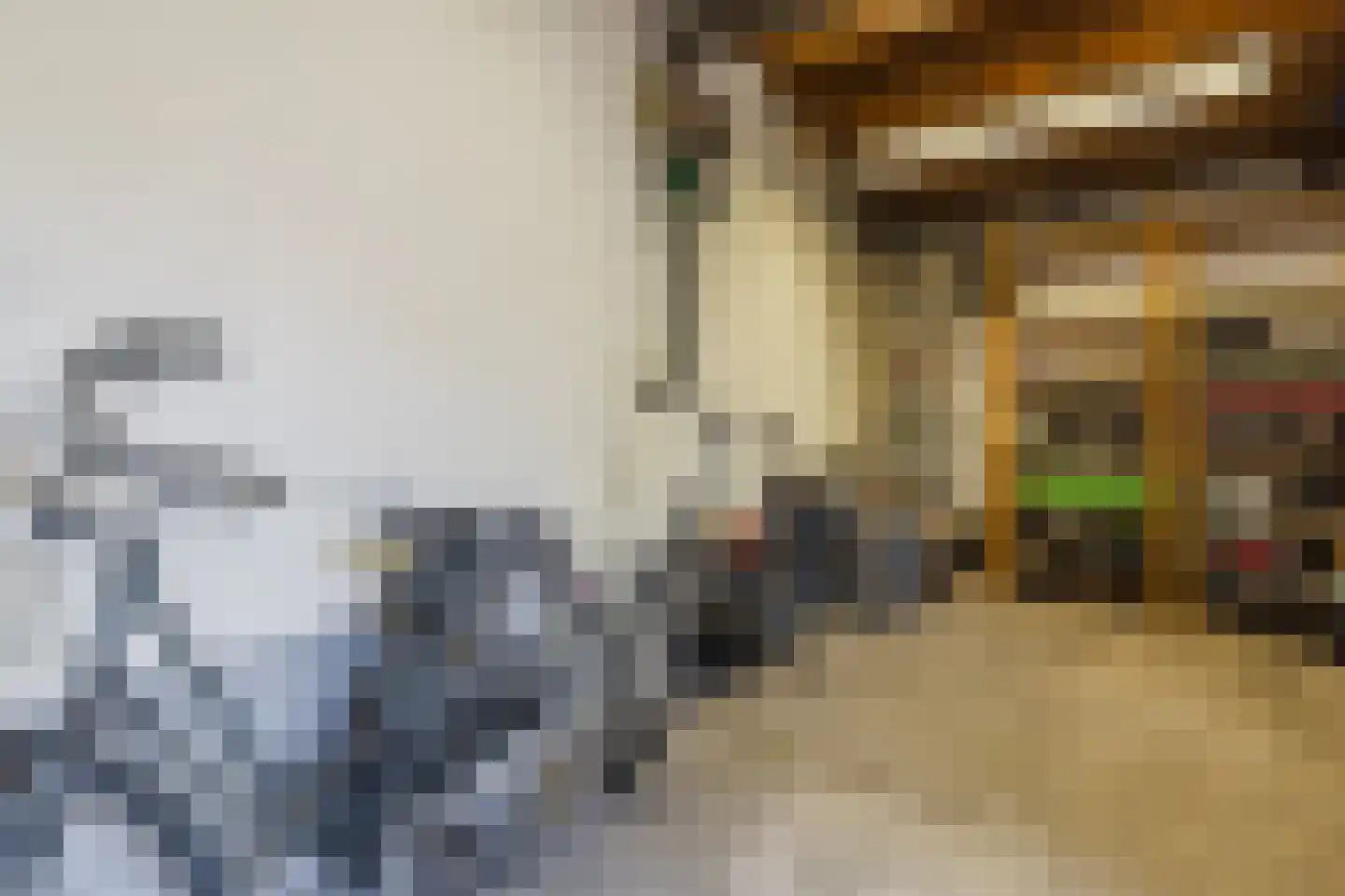 Korte Nieuwstraat 1 Bodegraven thumbnail 52