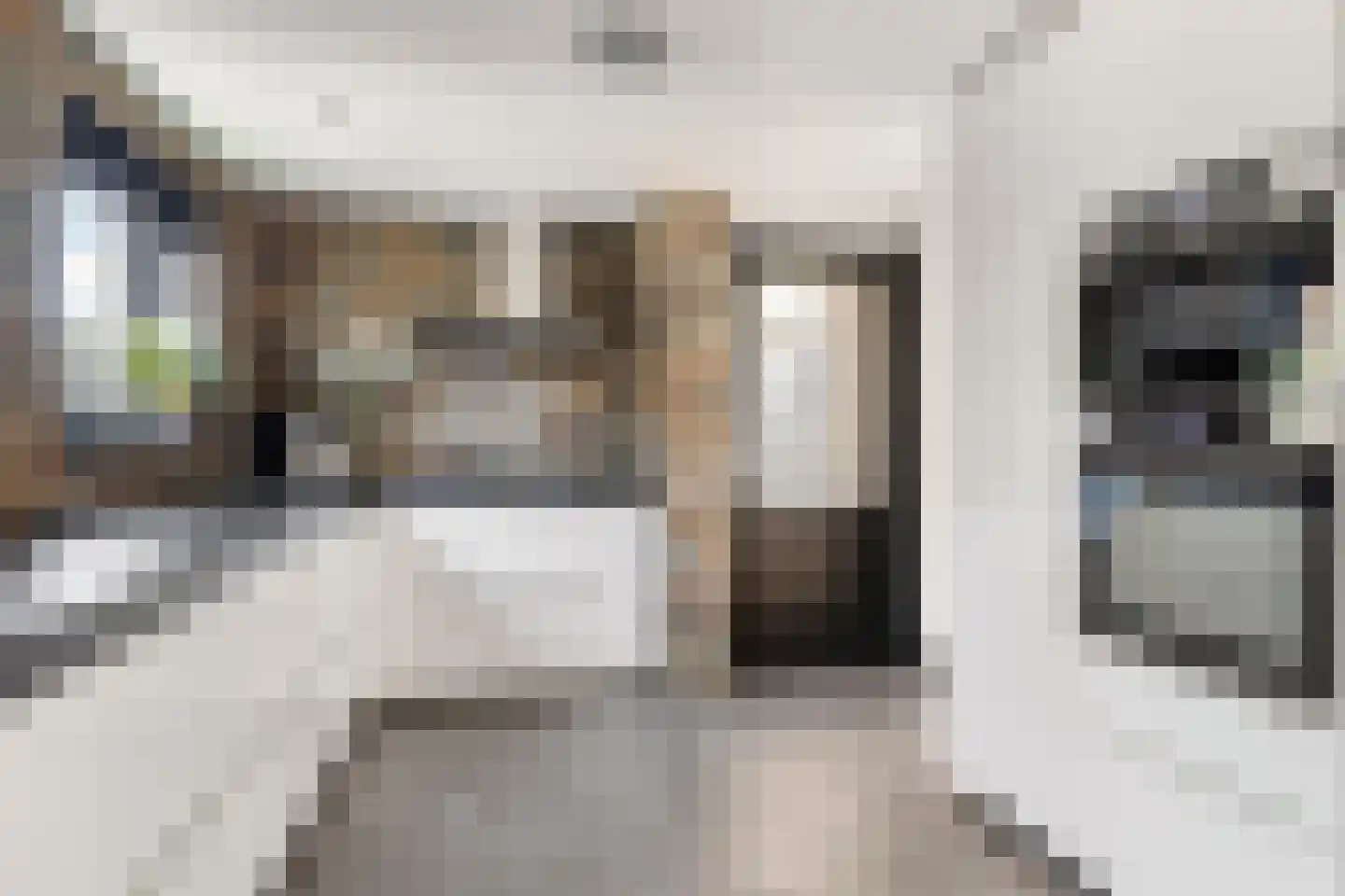 Korte Nieuwstraat 12 Pannerden thumbnail 20