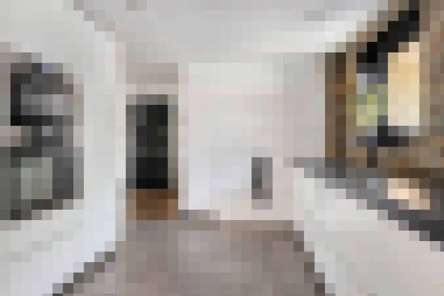 Korte Nieuwstraat 12 Pannerden thumbnail 21