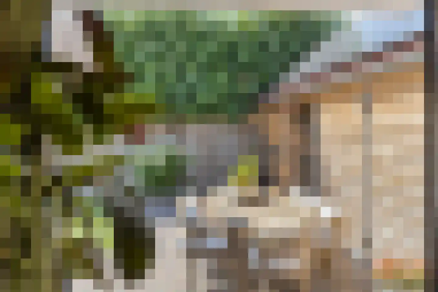 Korte Nieuwstraat 12 Pannerden thumbnail 22