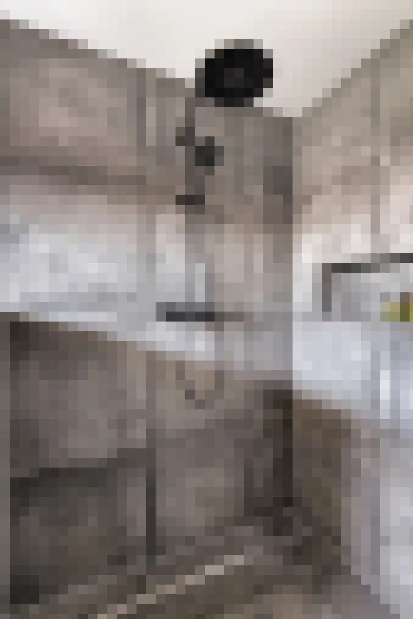 Korte Nieuwstraat 12 Pannerden thumbnail 33