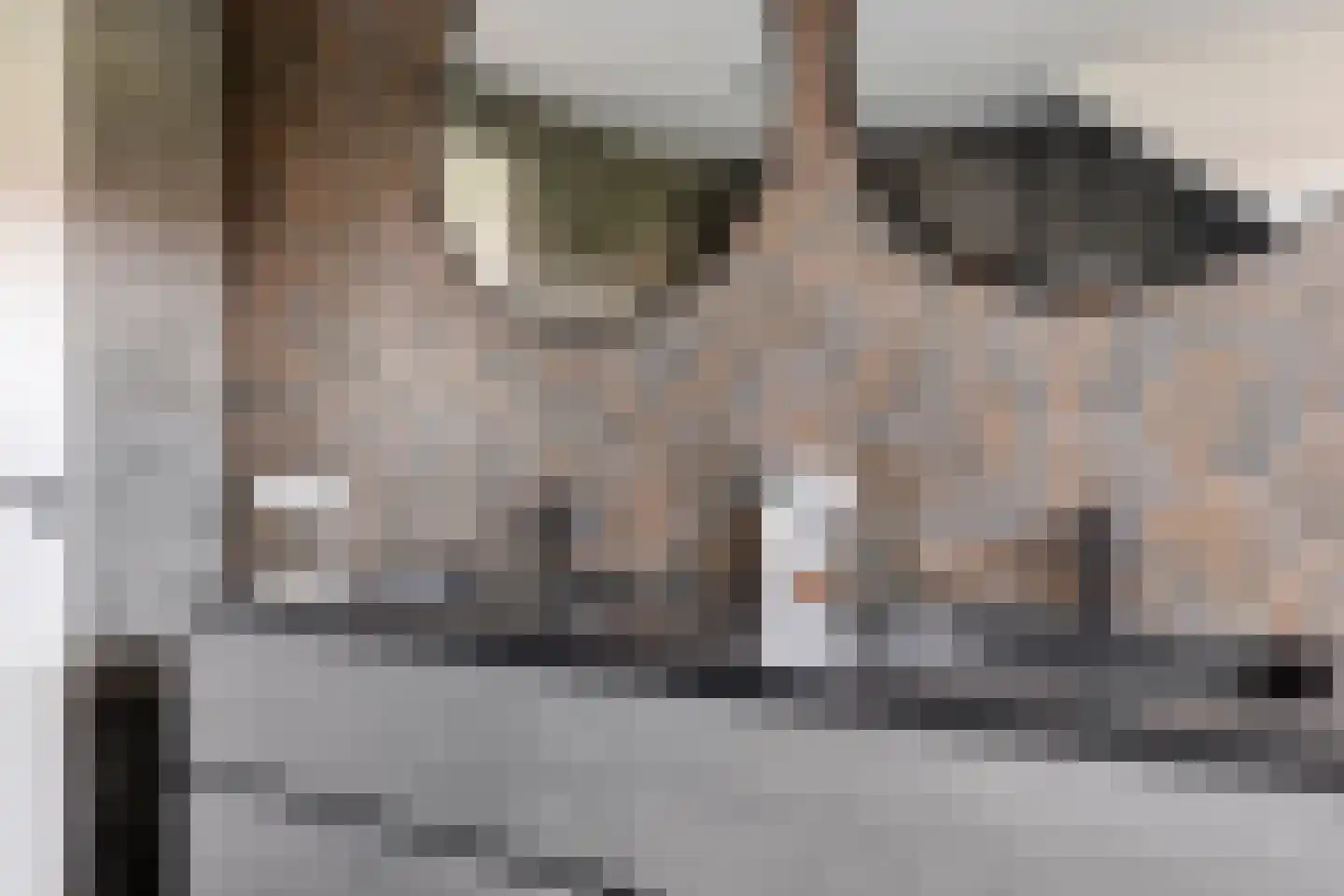 Korte Nieuwstraat 12 Pannerden thumbnail 34