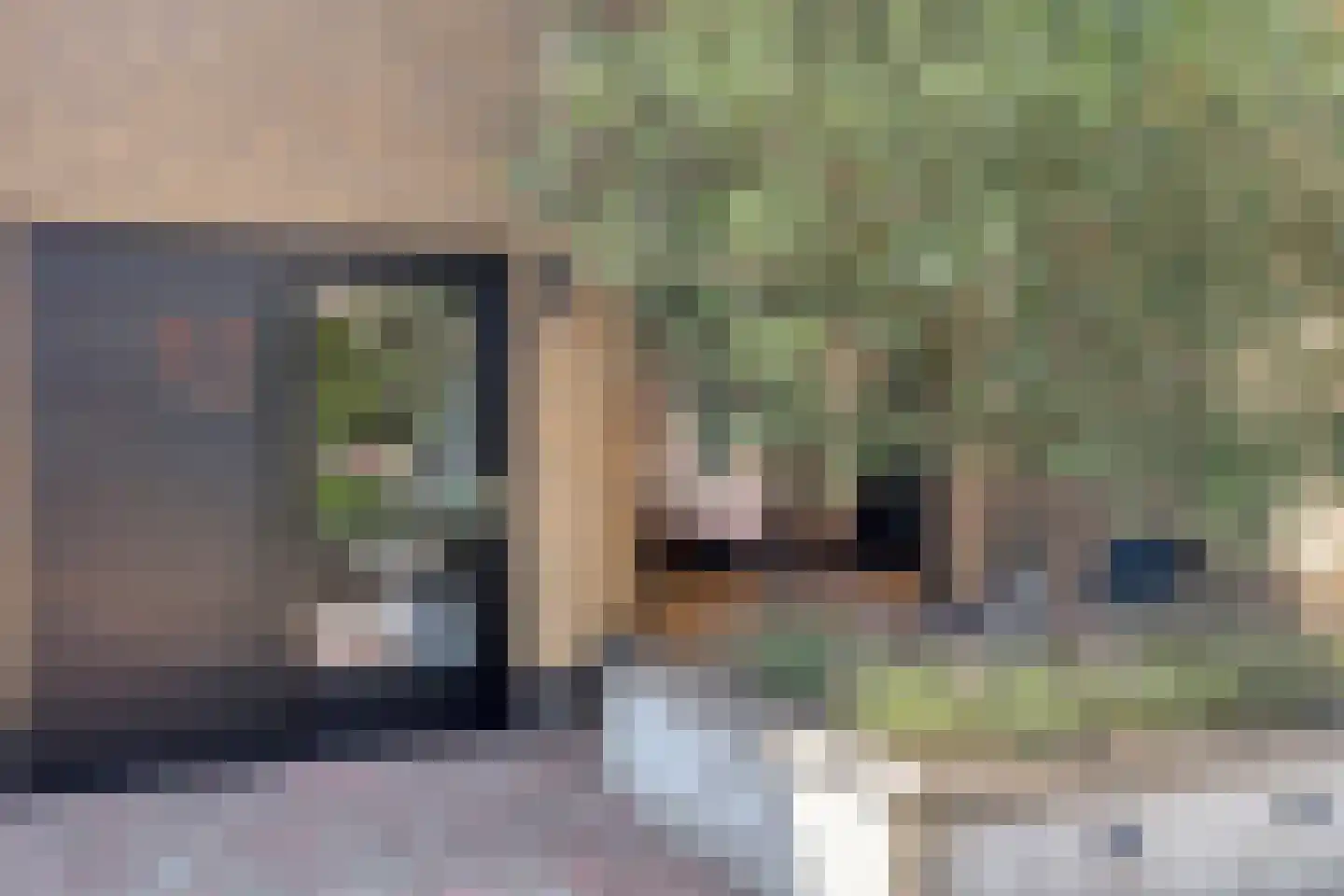 Korte Nieuwstraat 12 Pannerden thumbnail 7