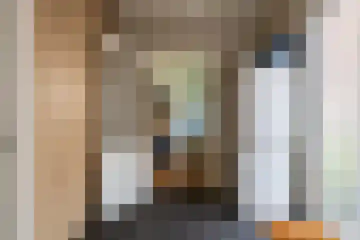 Korte Nieuwstraat 13 Sprang-Capelle thumbnail 11