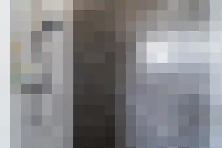 Korte Nieuwstraat 13 Sprang-Capelle thumbnail 15