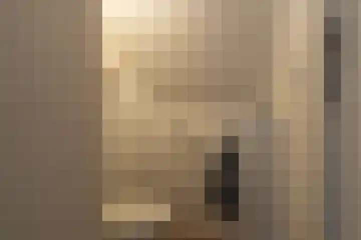 Korte Nieuwstraat 13 Sprang-Capelle thumbnail 17