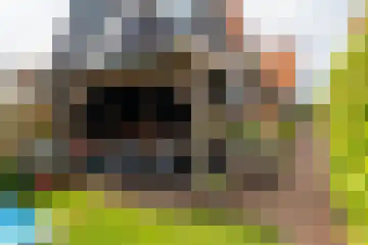 Korte Nieuwstraat 13 Sprang-Capelle thumbnail 29