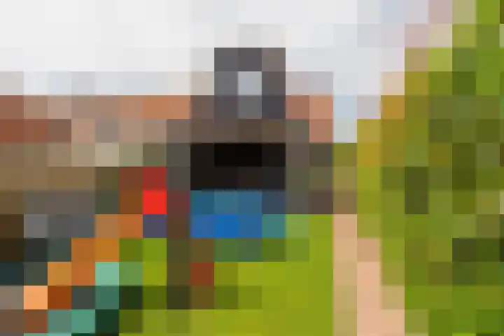 Korte Nieuwstraat 13 Sprang-Capelle thumbnail 31
