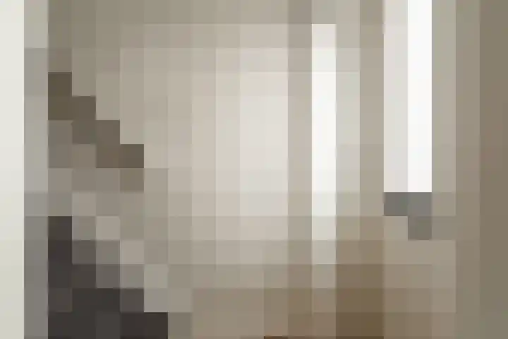 Korte Nieuwstraat 13 Sprang-Capelle thumbnail 5