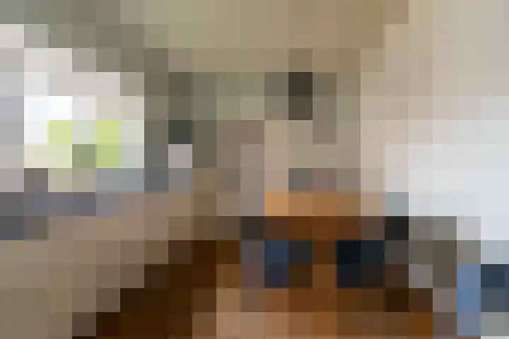 Korte Nieuwstraat 13 Sprang-Capelle thumbnail 9