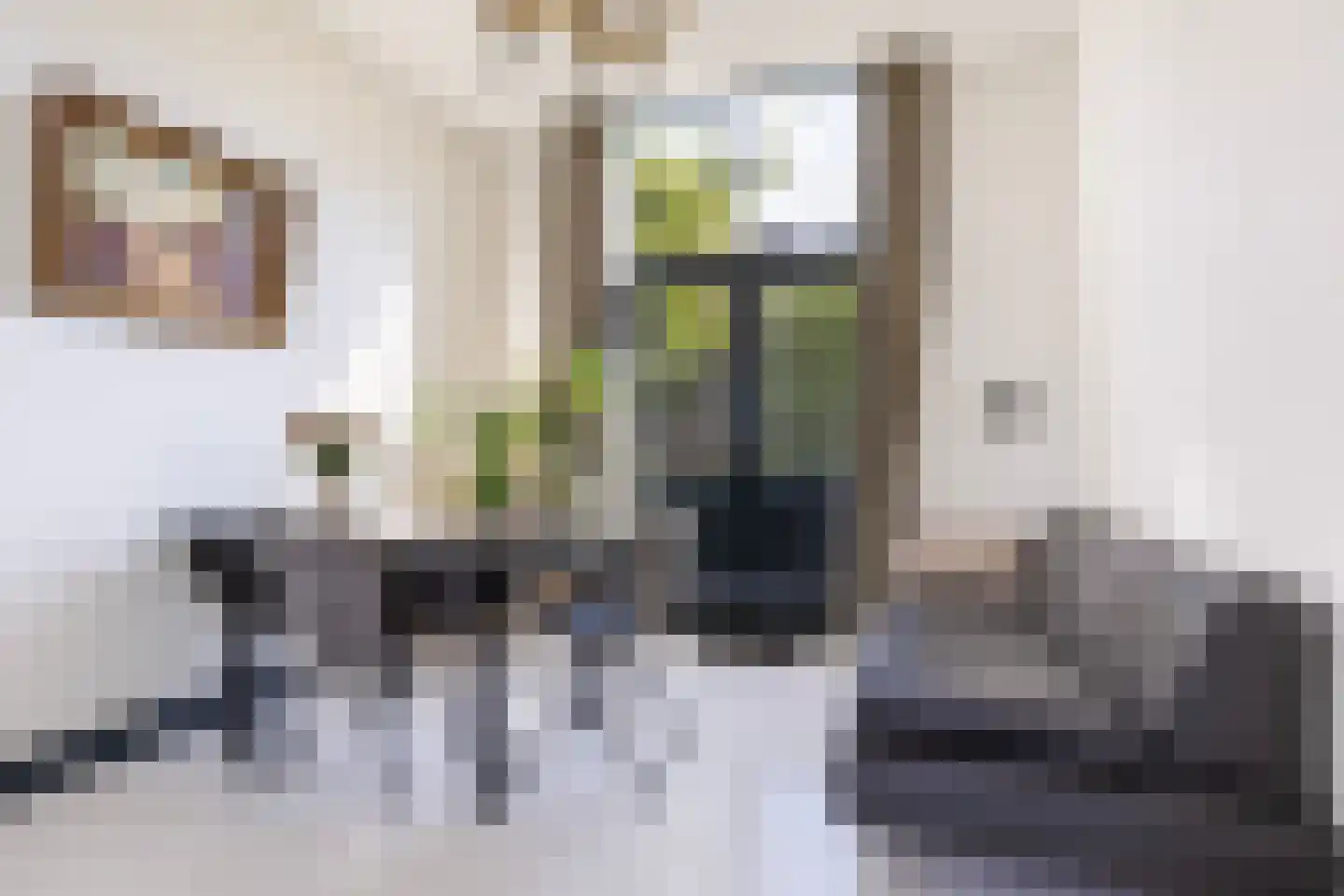Korte Nieuwstraat 15 Apeldoorn thumbnail 16