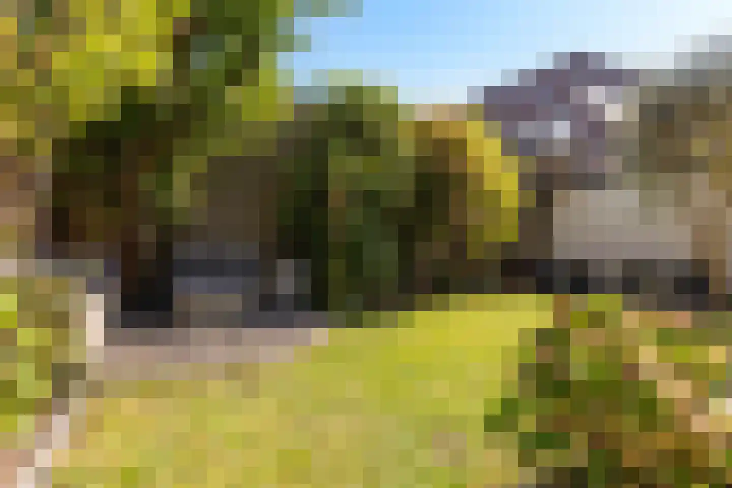 Korte Nieuwstraat 15 Apeldoorn thumbnail 17