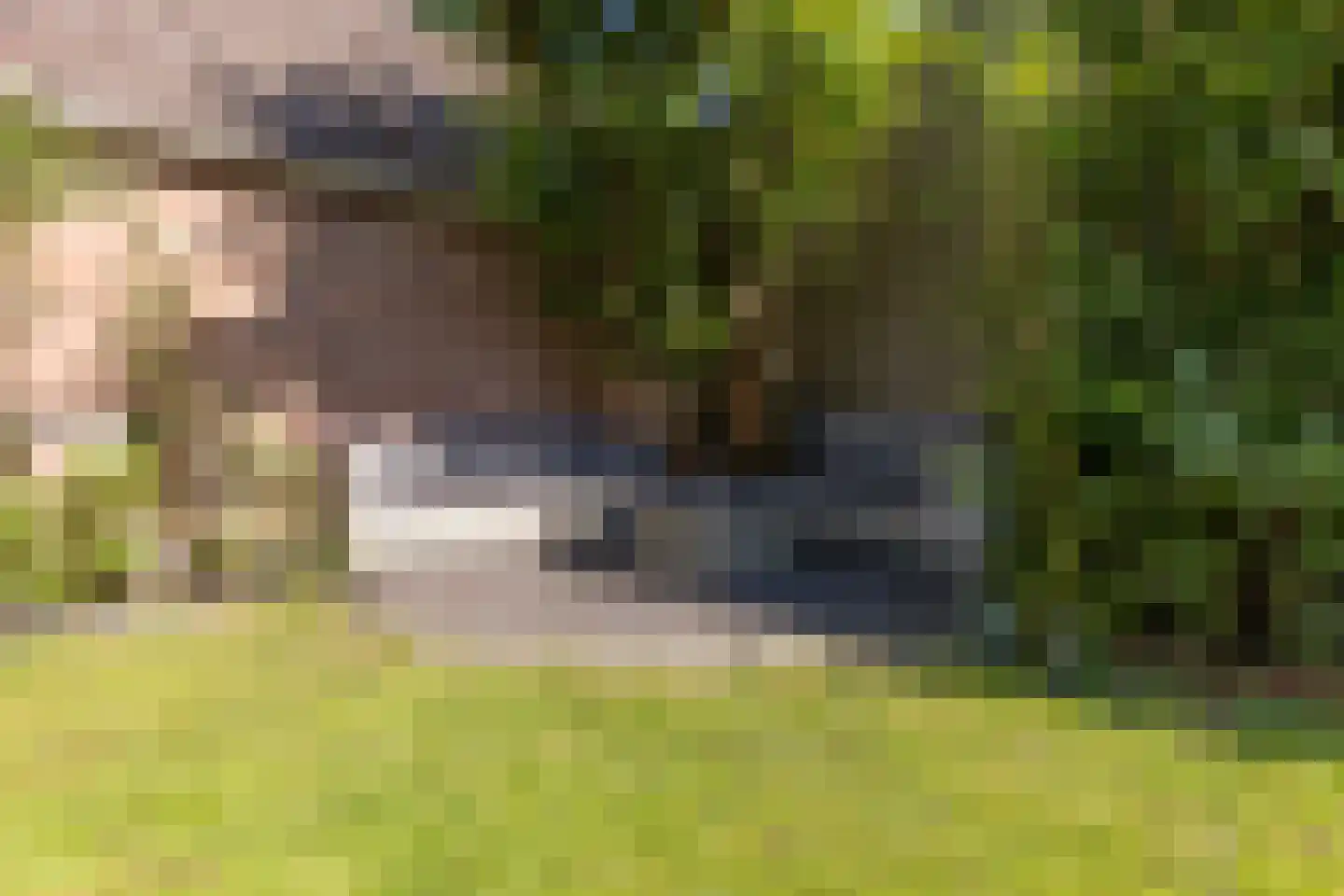Korte Nieuwstraat 15 Apeldoorn thumbnail 18
