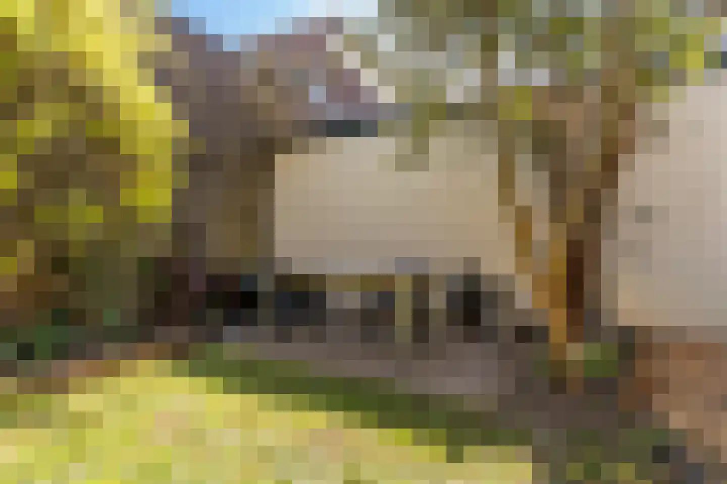 Korte Nieuwstraat 15 Apeldoorn thumbnail 19