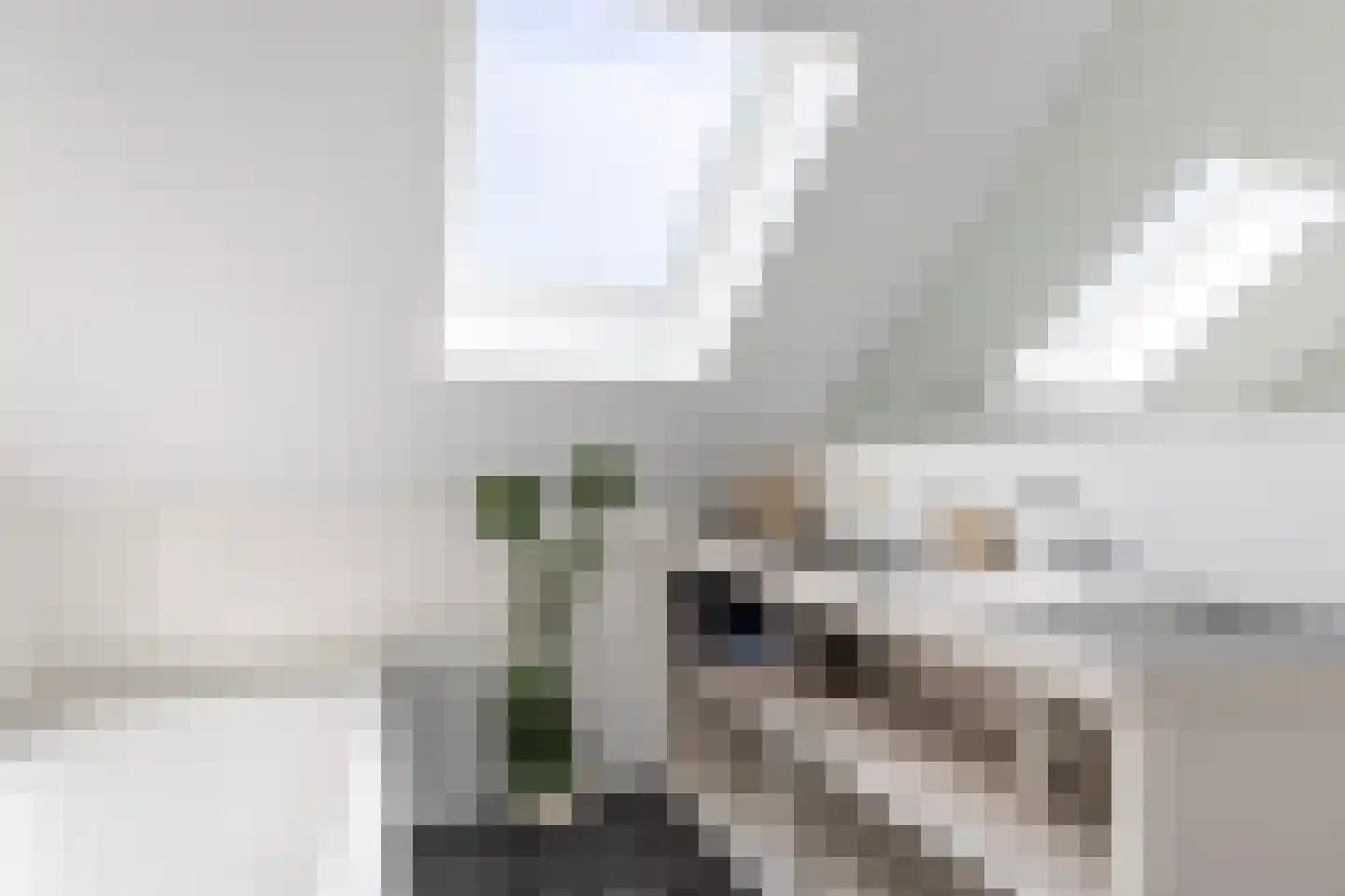 Korte Nieuwstraat 15 Apeldoorn thumbnail 29