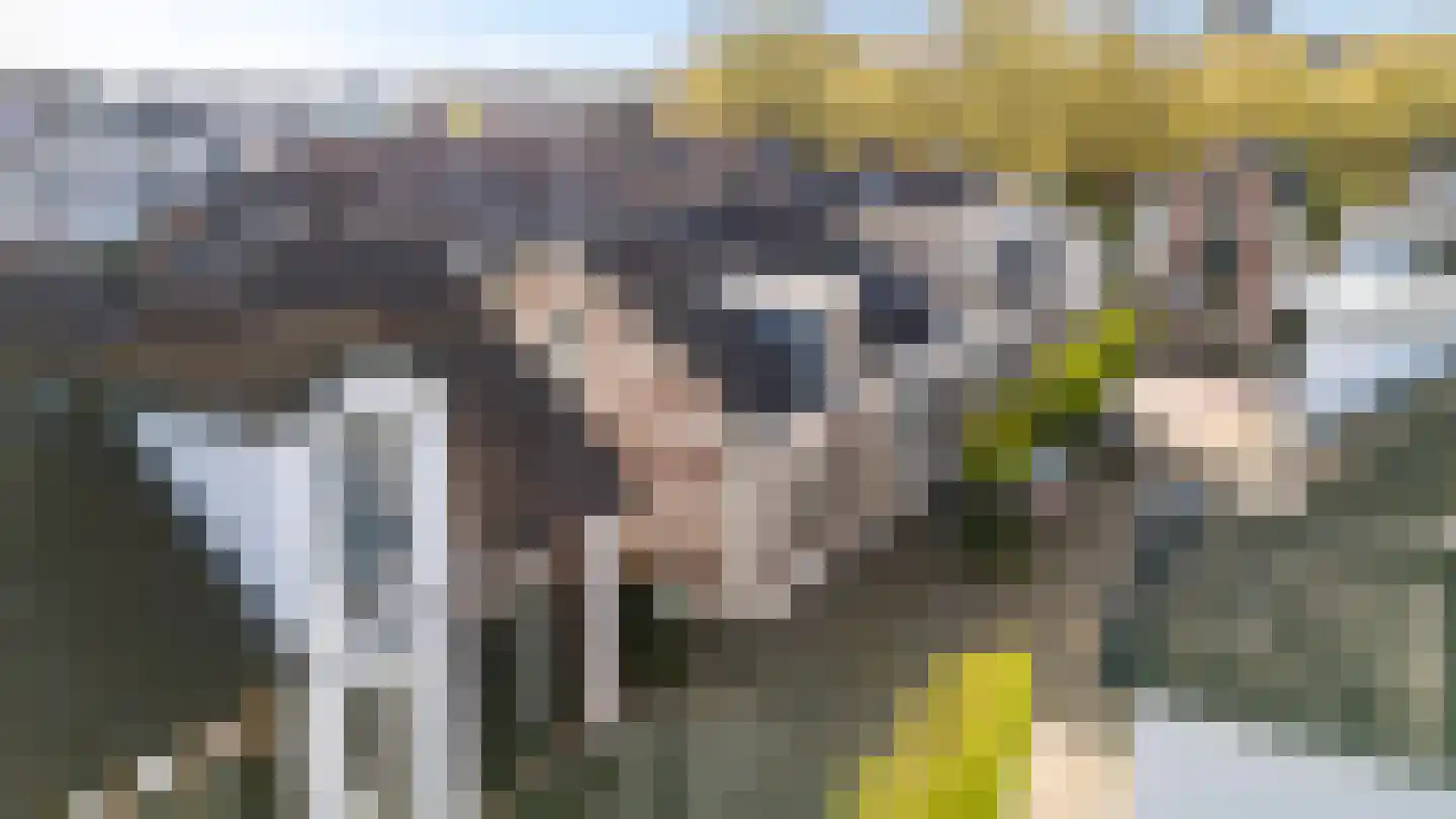 Korte Nieuwstraat 15 Apeldoorn thumbnail 37