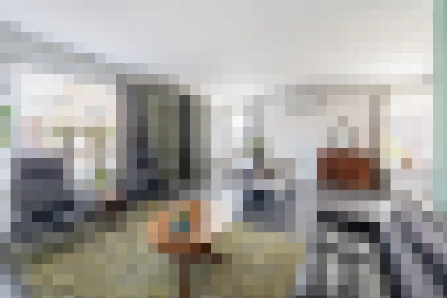 Korte Nieuwstraat 22 Sprang-Capelle thumbnail 10