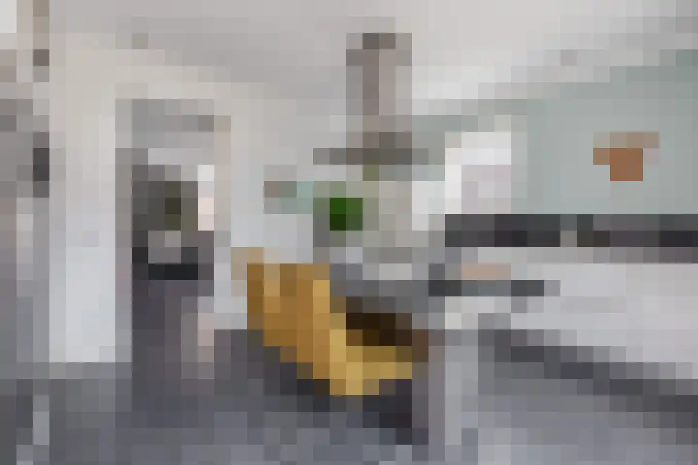 Korte Nieuwstraat 22 Sprang-Capelle thumbnail 13