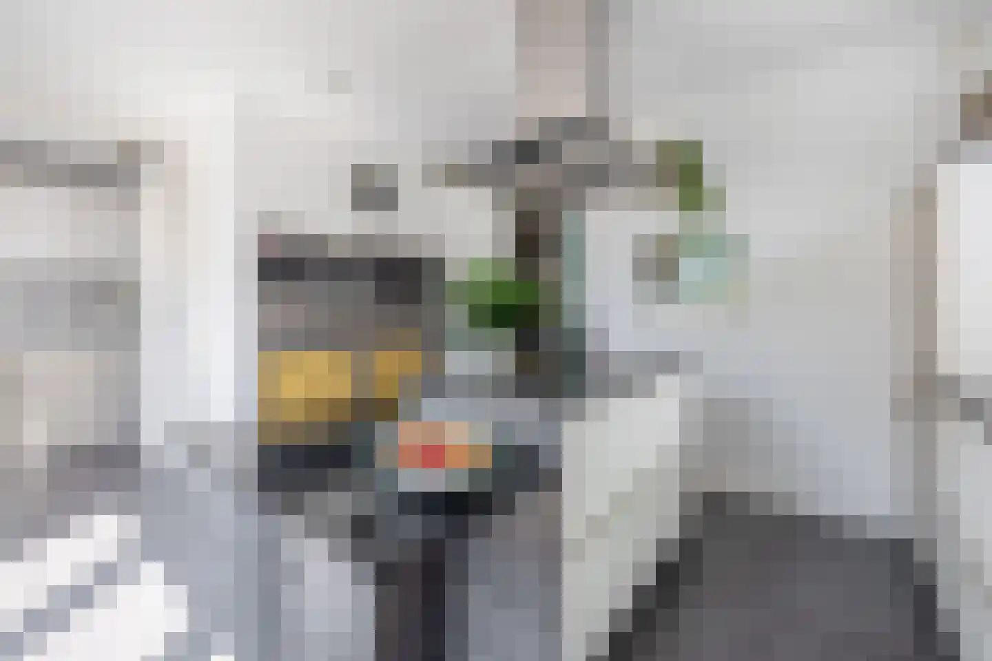 Korte Nieuwstraat 22 Sprang-Capelle thumbnail 14