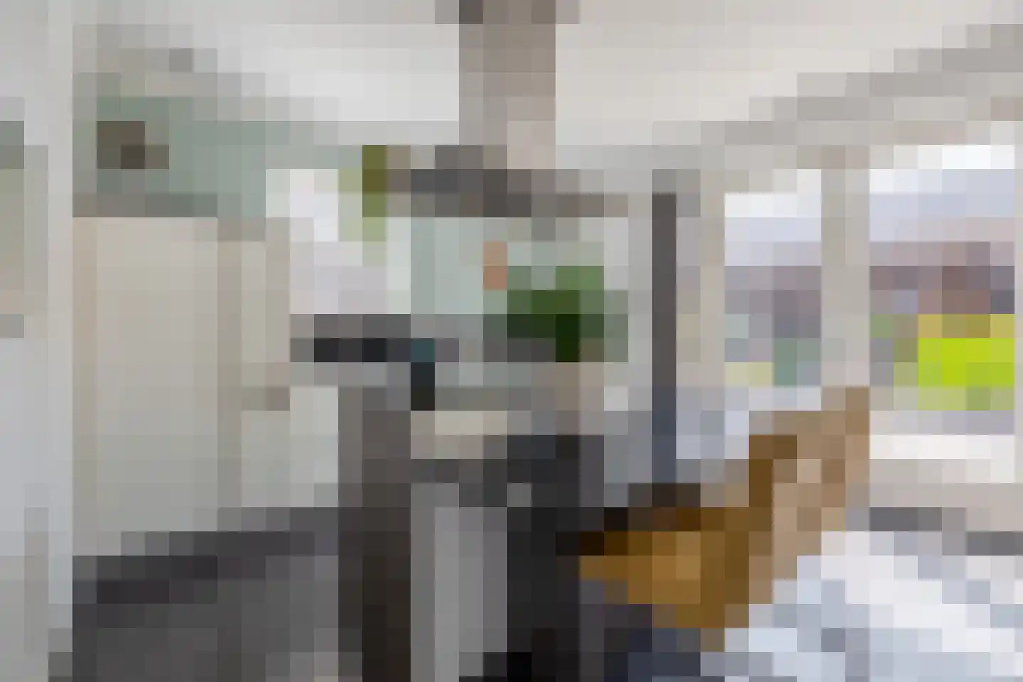Korte Nieuwstraat 22 Sprang-Capelle thumbnail 15