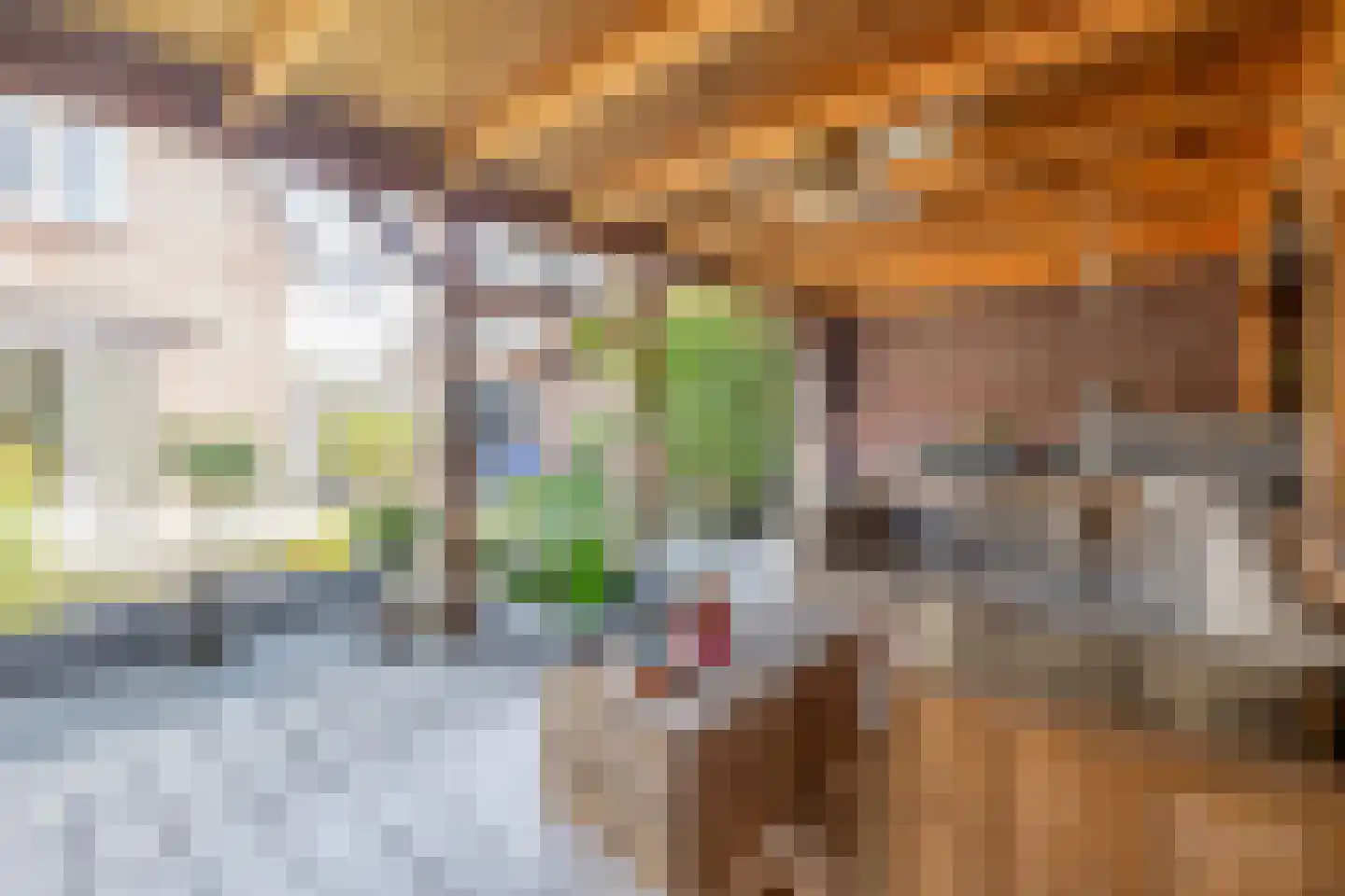 Korte Nieuwstraat 22 Sprang-Capelle thumbnail 19