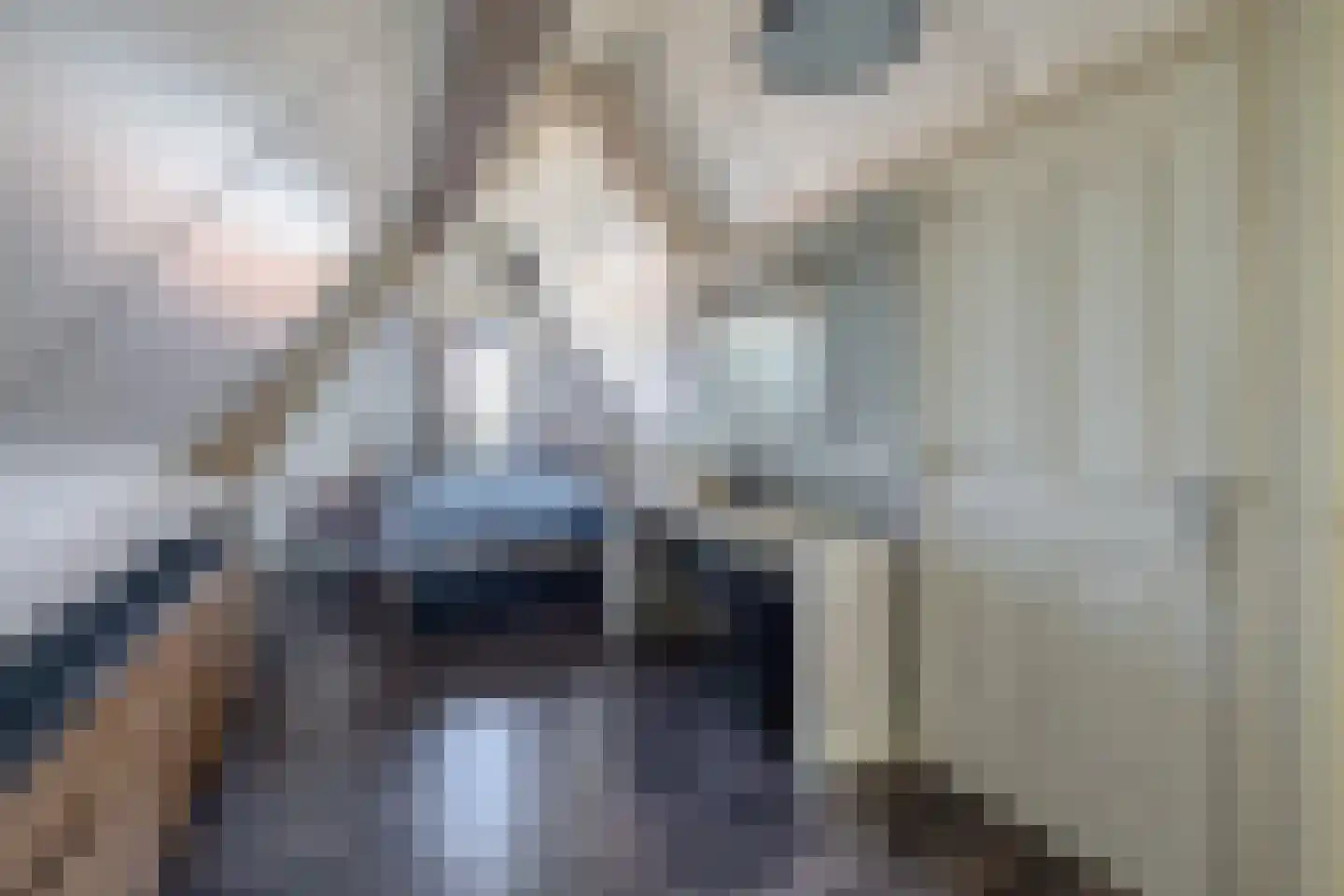 Korte Nieuwstraat 22 Sprang-Capelle thumbnail 31