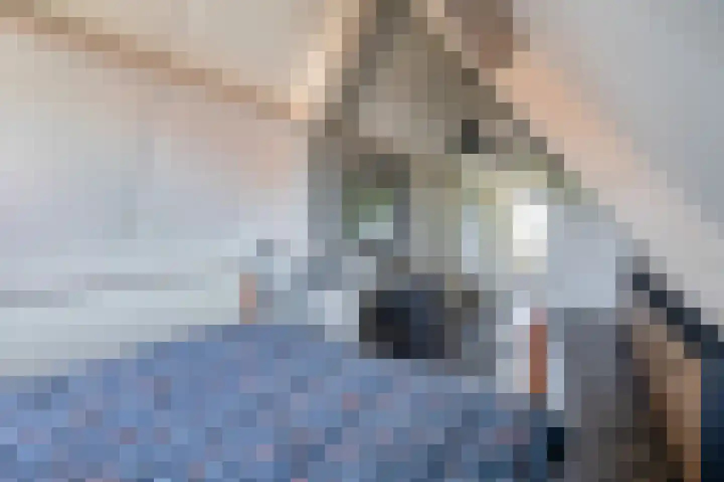 Korte Nieuwstraat 22 Sprang-Capelle thumbnail 32